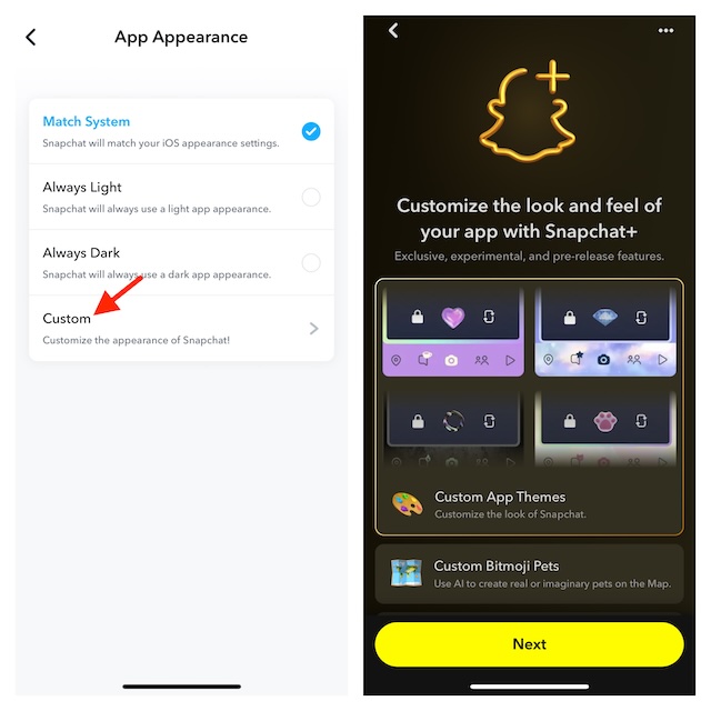 Customize app appearance in Snapchat
