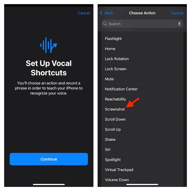 Choose Screenshot for Vocal Shortcut in iOS 18