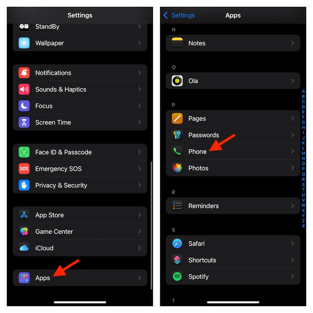 Choose the phone option in ios 18 apps section